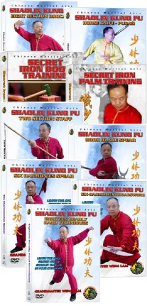 (Shaolin DVD #32-39, 44) Shaolin Level Five - Special Material Chinese Traditional Shaolin Kung Fu